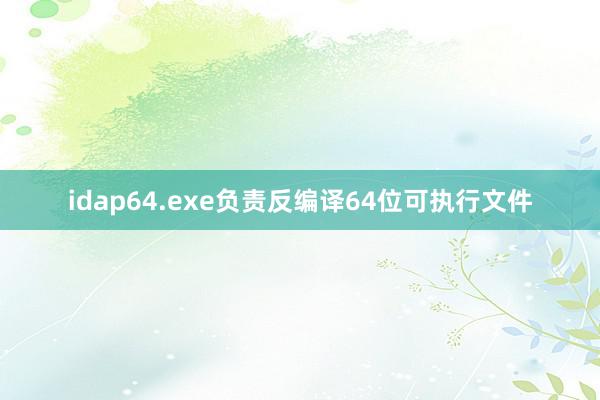idap64.exe负责反编译64位可执行文件